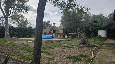 Foto 4 de Finca rústica en venta en Valletes - Xiribecs, Amposta