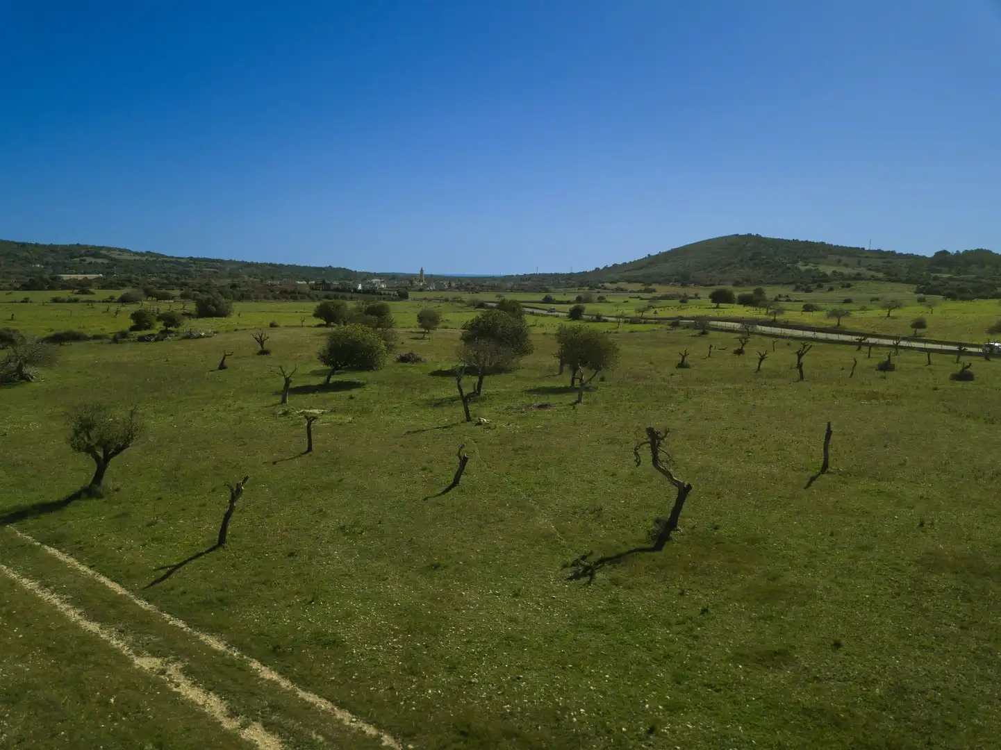 Rural land for sale in Sant Llorenç des Cardassar, imagen 17