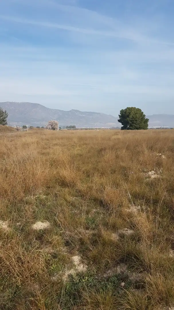 Finca rústica en venda en Salinas