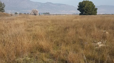 SE VENDE CUATRO PARCELAS EN SALINAS, DOS DE 50.000m Y DOS DE 20.000m, POR SEPARADO o EN CONJUNTO, imagen 5