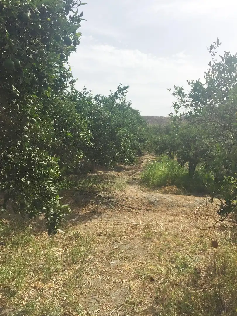 Terrenos y solares en venta en Rioja, imagen 14
