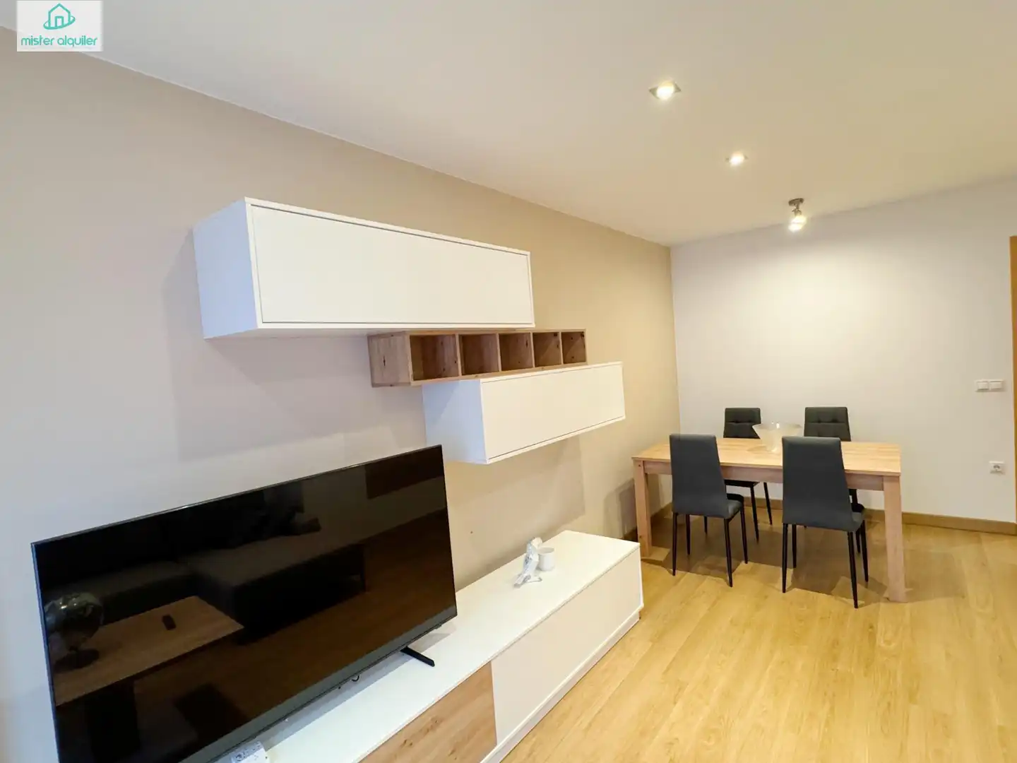 Living room of Apartments for rent in San Vicente del Raspeig / Sant Vicent del Raspeig  with Air Conditioner, Private garden and Terrace