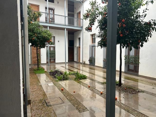 Duplex to rent in Calle CARLOS ARRUZA, Sta. Marina - San Andrés - San Pablo - San Lorenzo