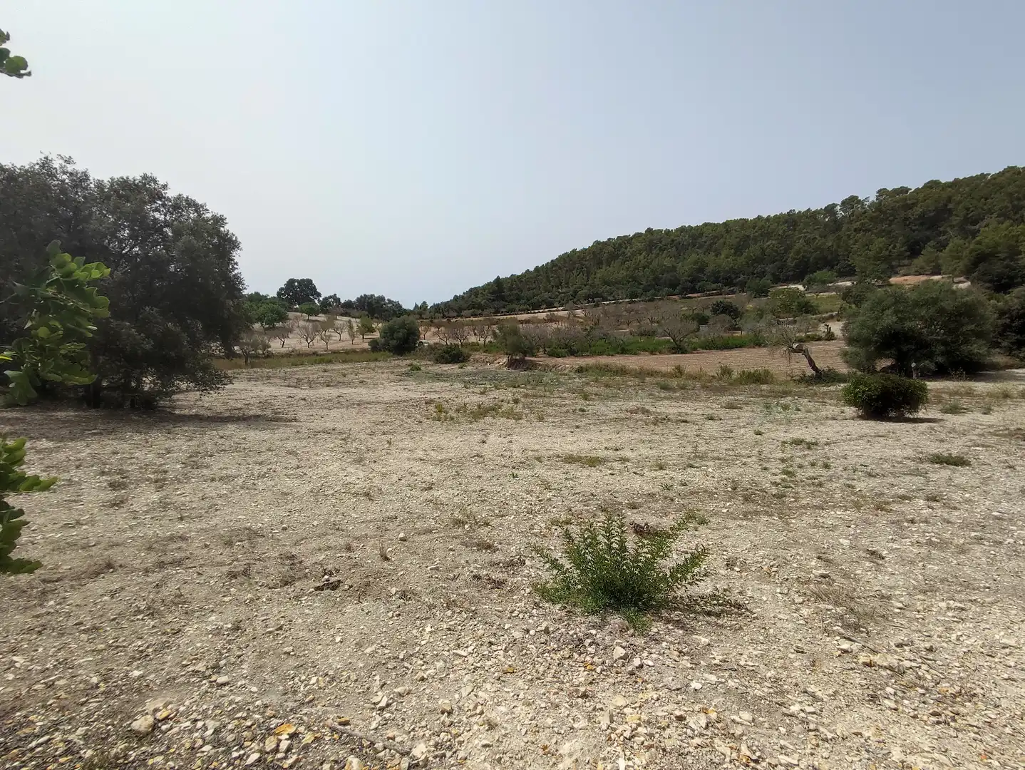 Residencial en venta en Montuïri