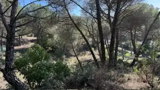 Rustikales Grundstück zum Verkauf in Periurbano Oeste - Sierra, imagen 4