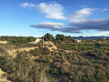 Terreno rustico in vendita a Pedanías Oeste