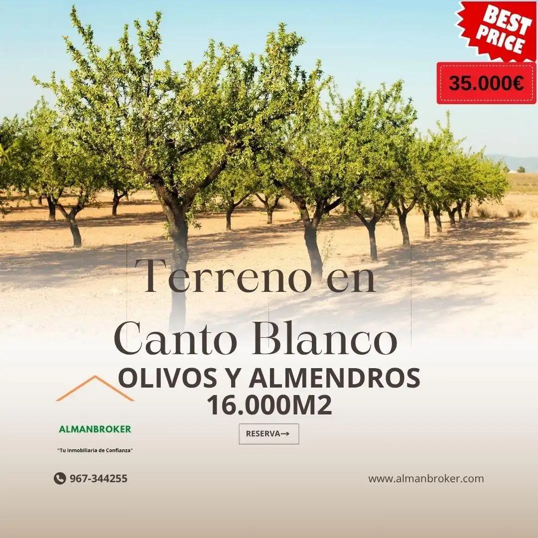 Terreno rustico in vendita a Almansa