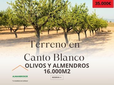 Rustikales Grundstück zum Verkauf in Almansa