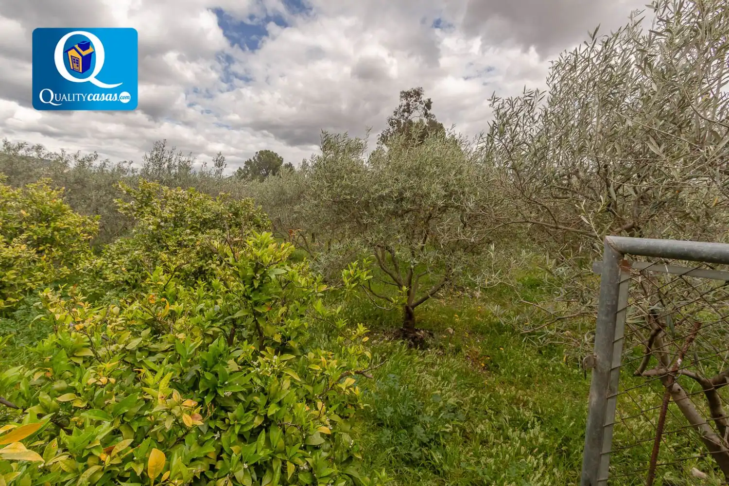 Chalet en venta en Agost, imagen 20