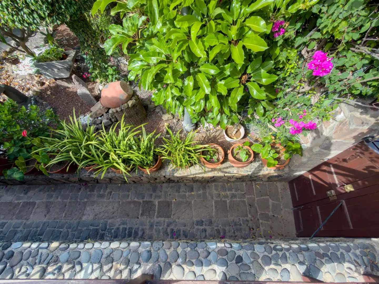 Jardí de Casa o xalet en venda en Icod de los Vinos