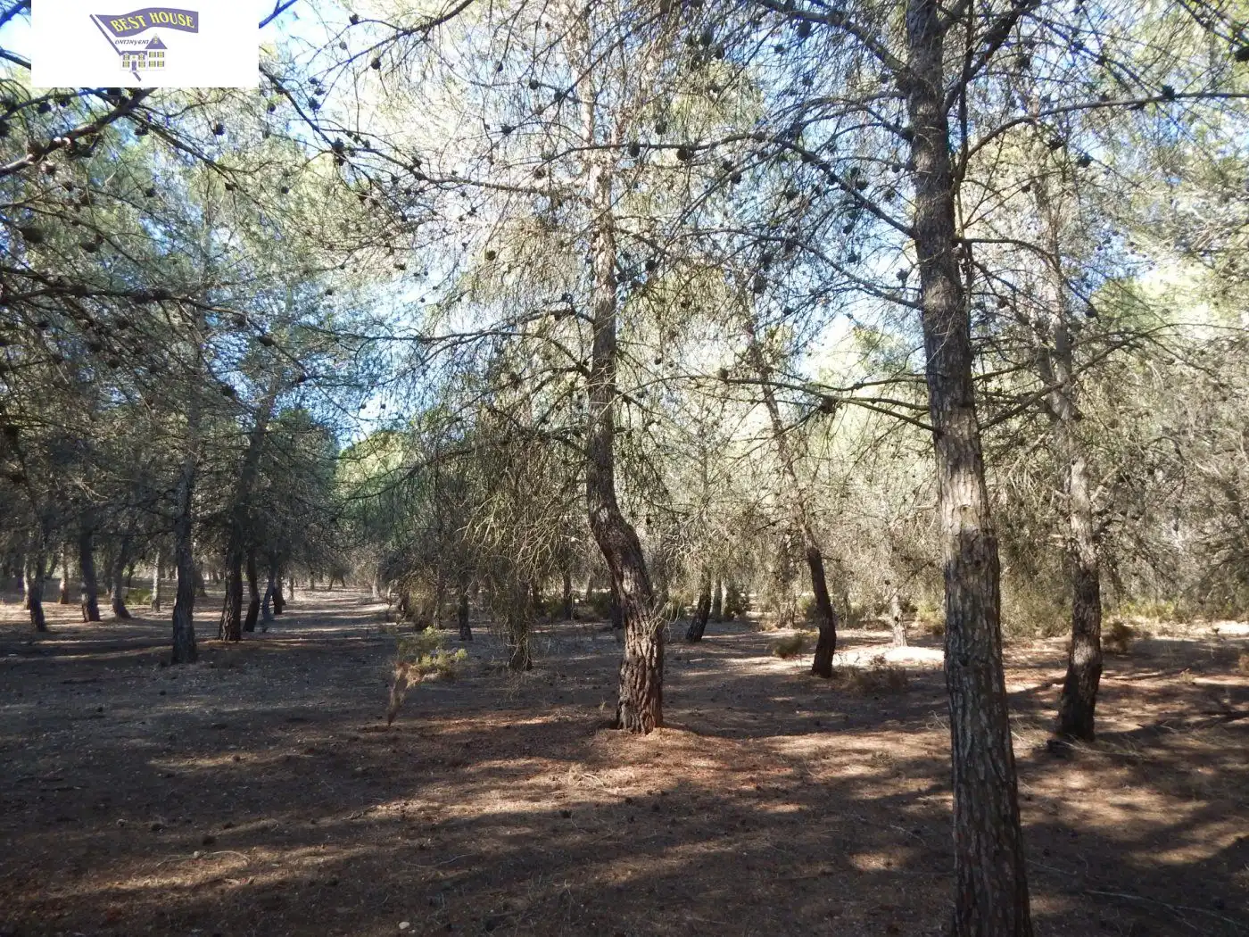 Residential for sale in Ontinyent