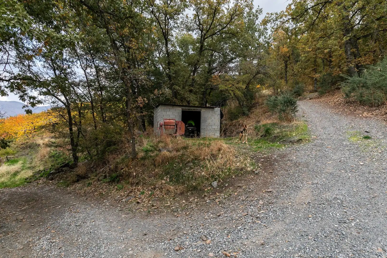 Lands and plots for sale in Güéjar Sierra, imagen 2
