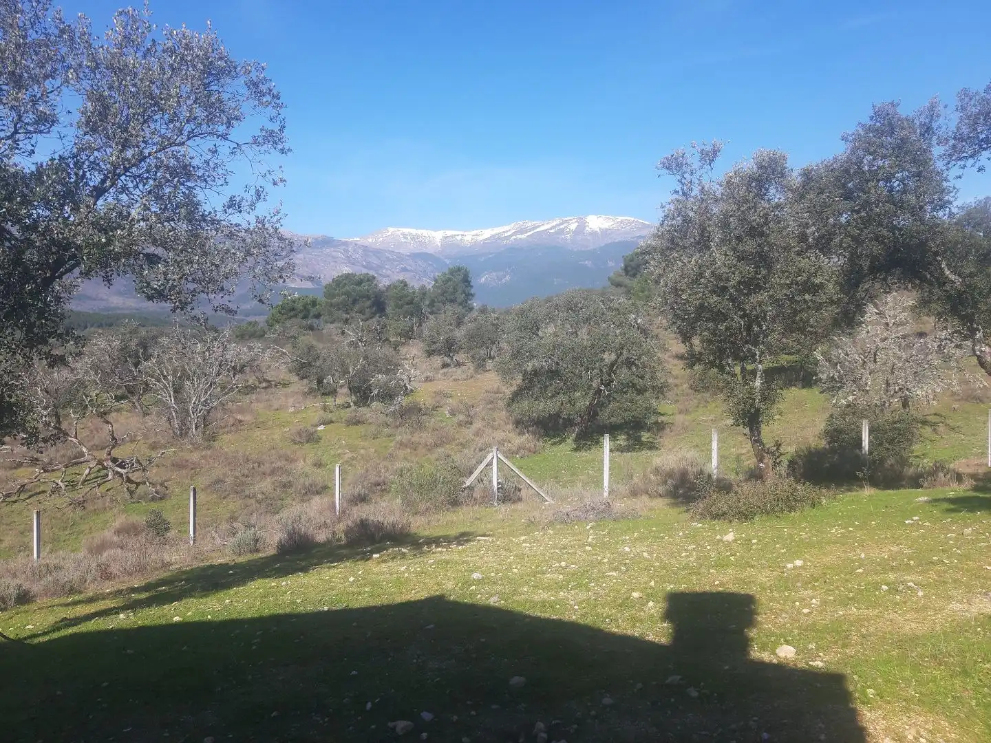 Terreno en venta en Mijares