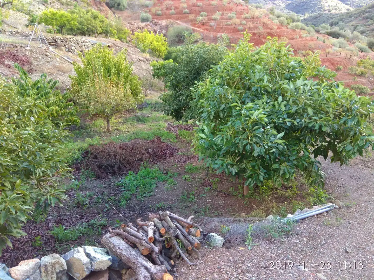 Terrains et parcelles à vendre à Ojén pueblo, imagen 7