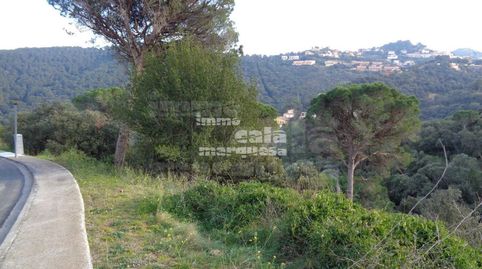 PARCELAS EN ES VALLS, imatge 2