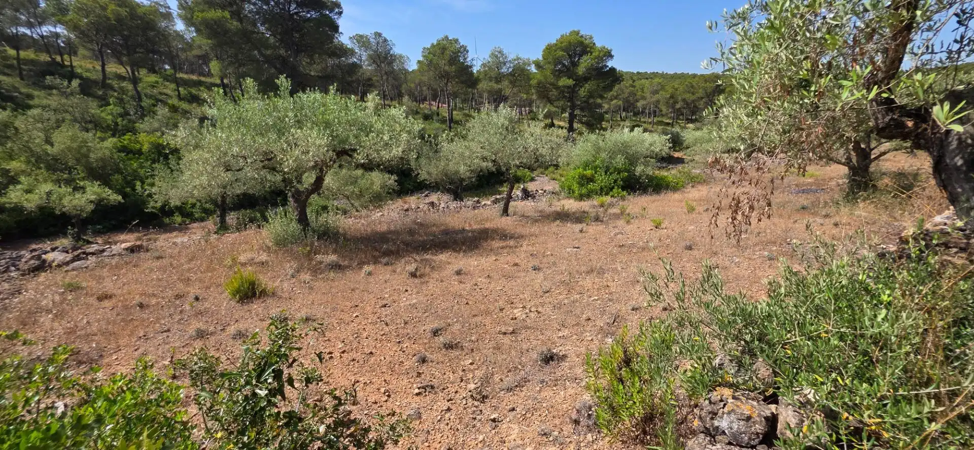 Casa rustica con piscina in vendita a El Perelló, imagen 48