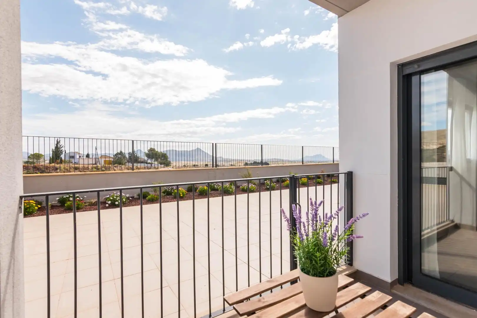Ground floor with terrace for sale in Carretera PINOSO-LOS BAÑOS, imagen 31