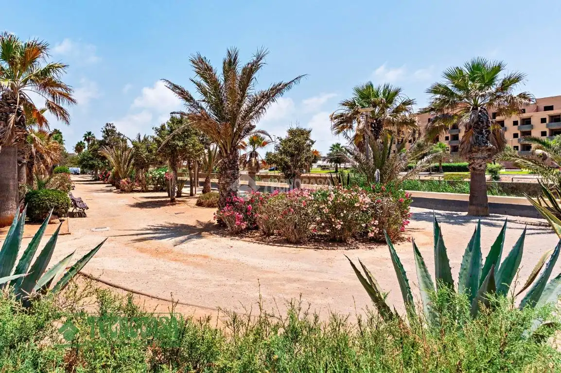 Jardí de Pis de lloguer en El Ejido amb Calefacció i Balcó