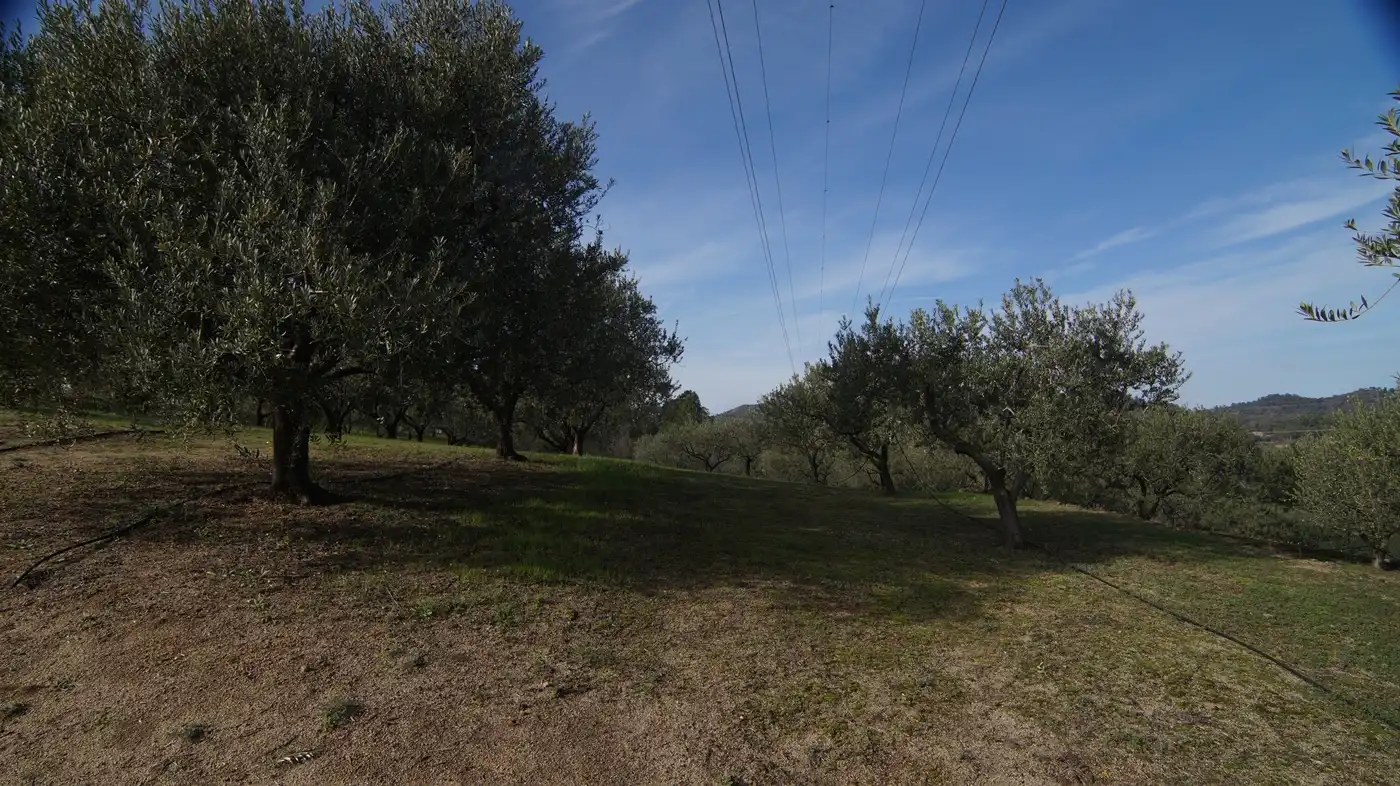 Country homes for sale in Falset  with Private garden