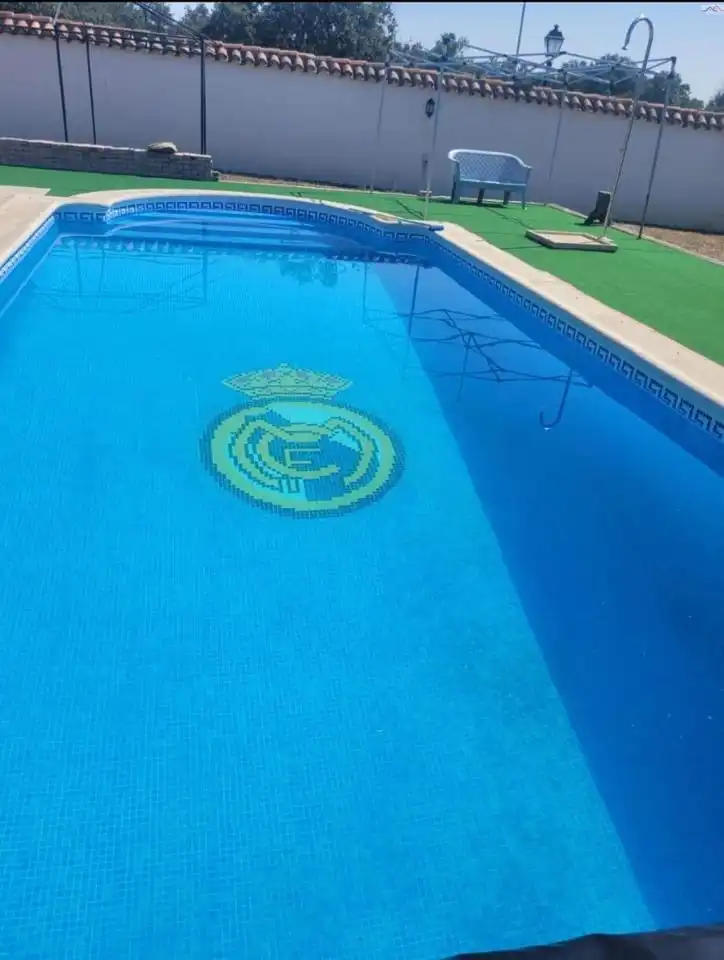 Piscina de Casa o chalet en venta en Villa del Prado con Calefacción, Terraza y Trastero