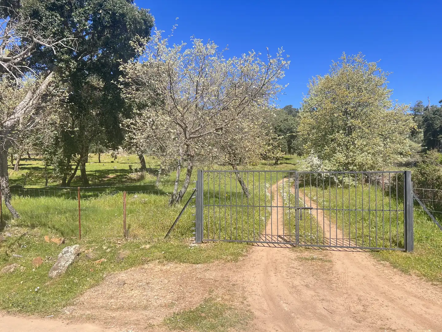Casa o chalet en venta en Perales del Puerto con Calefacción y Terraza