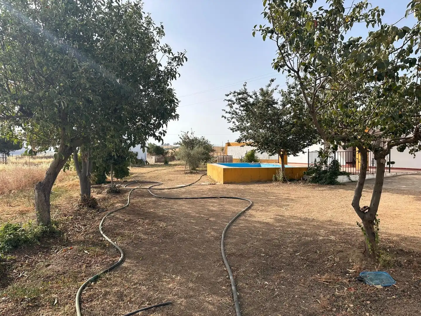 Rural land for sale in Fuente Obejuna, imagen 41