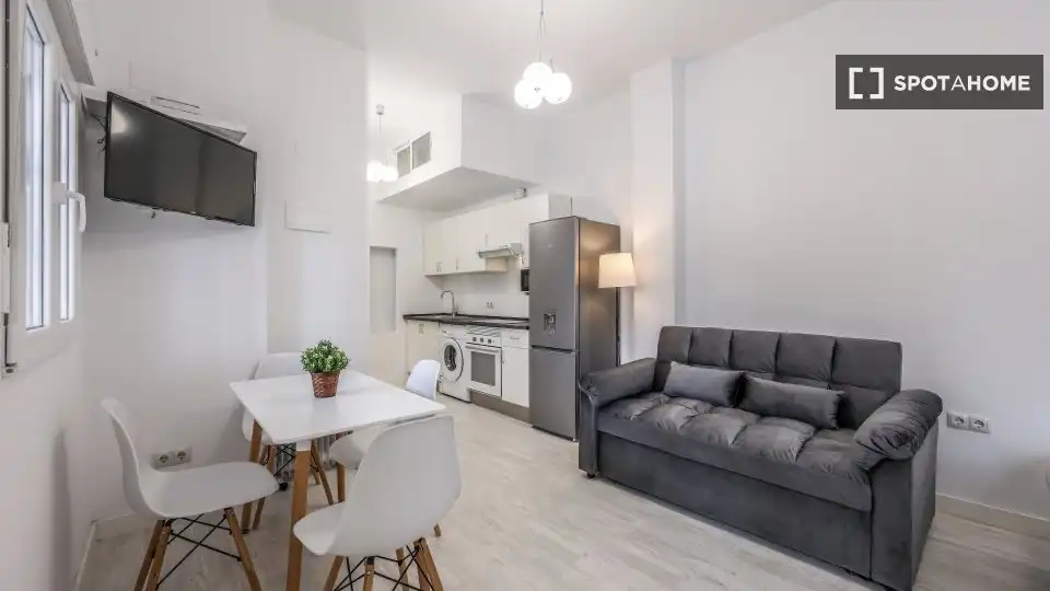 Living room of Flat for rent in Madrid  with Air Conditioner, Heating and Furnished