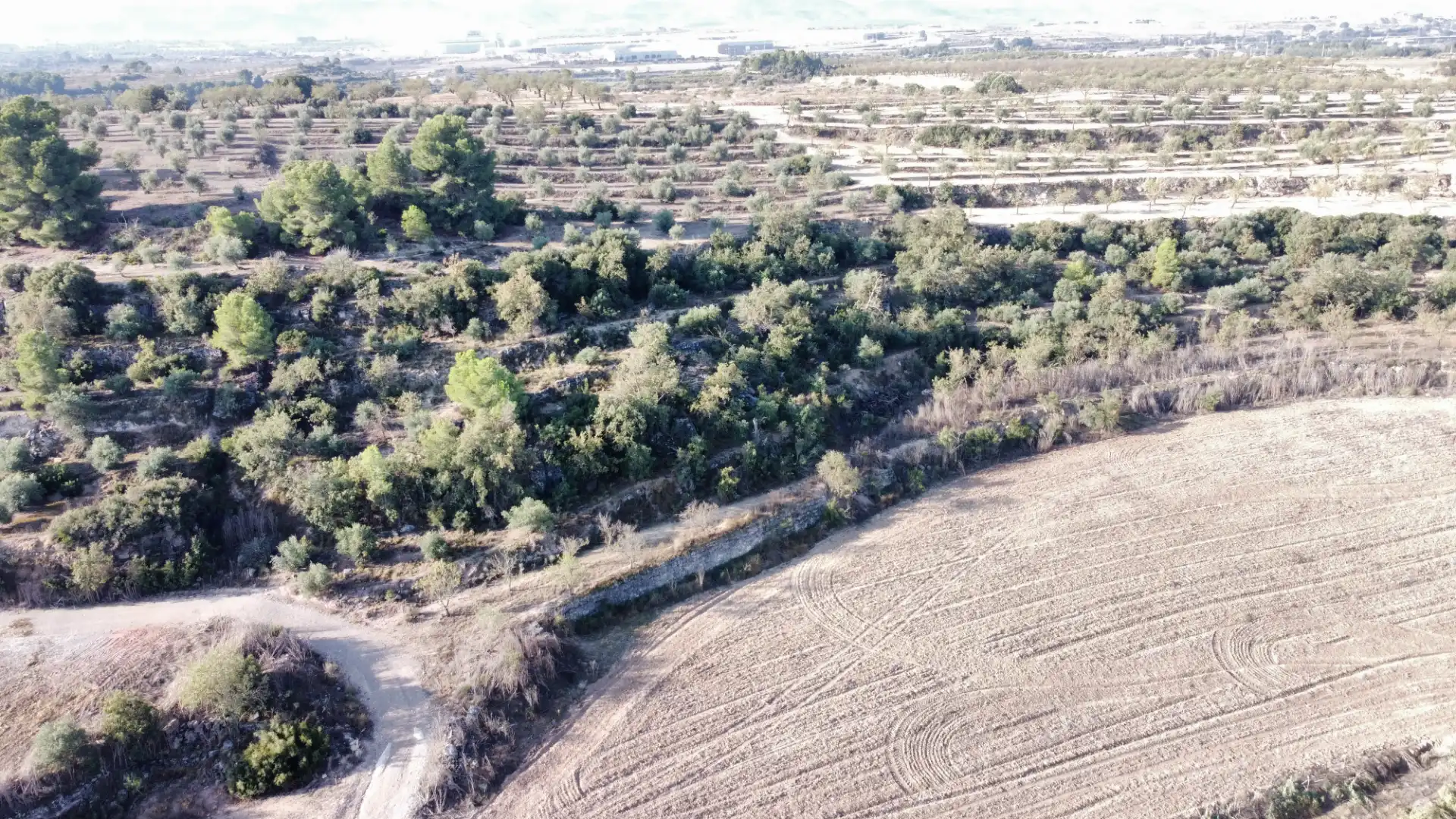 Rural land for sale in Arbeca, imagen 5
