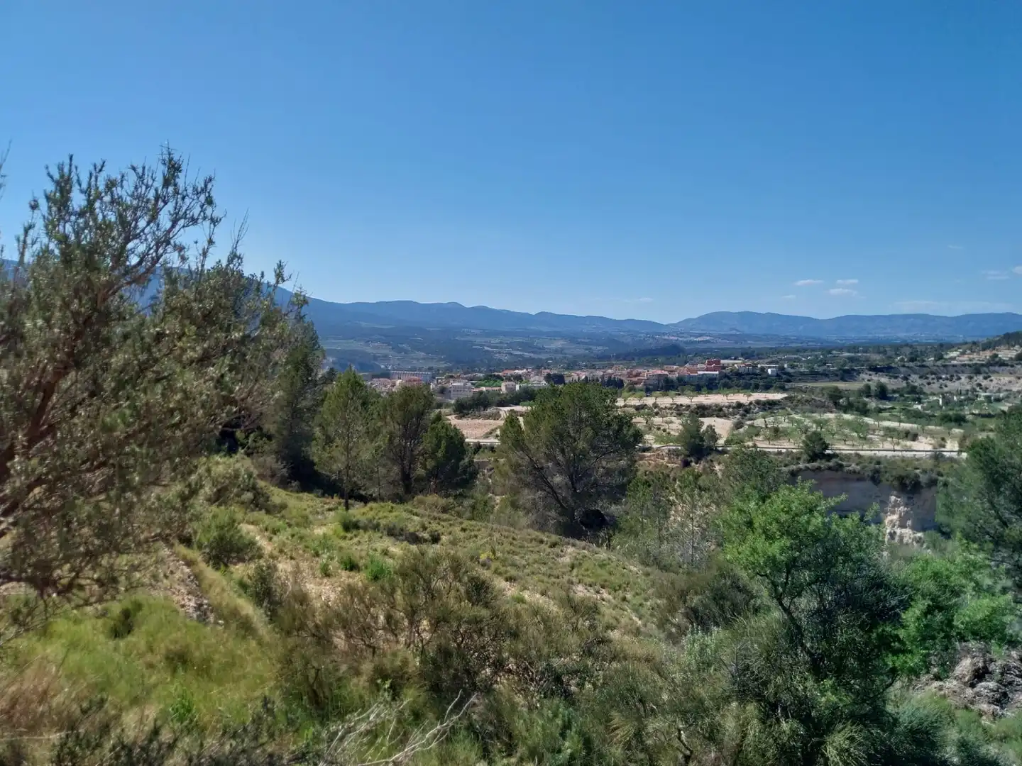 Terreno rustico in vendita a Lugar Castillo, imagen 45