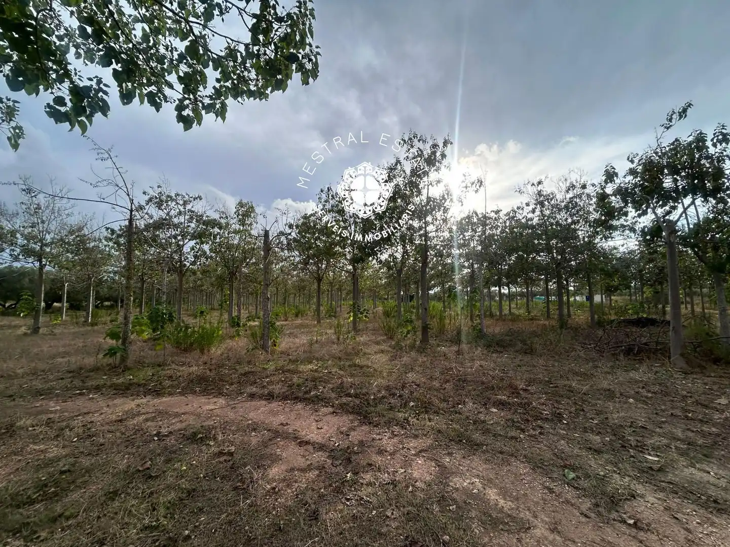 Terreno rustico in vendita a 16, imagen 15
