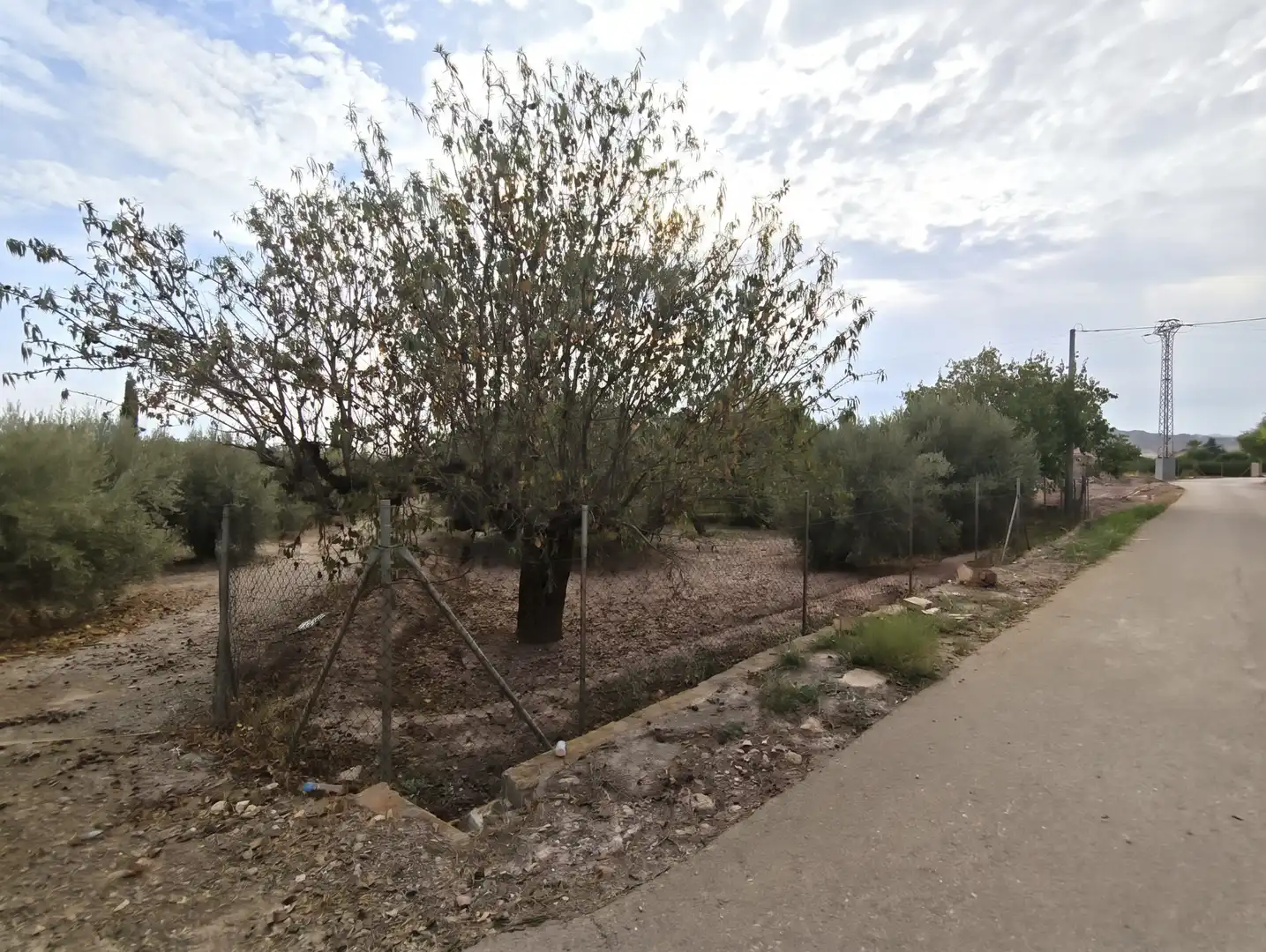 Terreno residencial en venta en Totana, imagen 3
