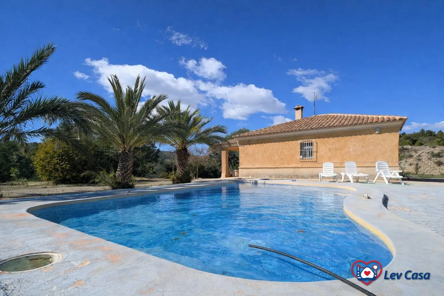 Chalet con piscina en venta en Aledo, imagen 11