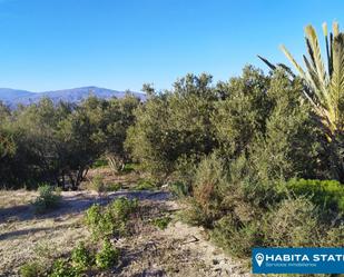 Land for sale in Alhama de Almería