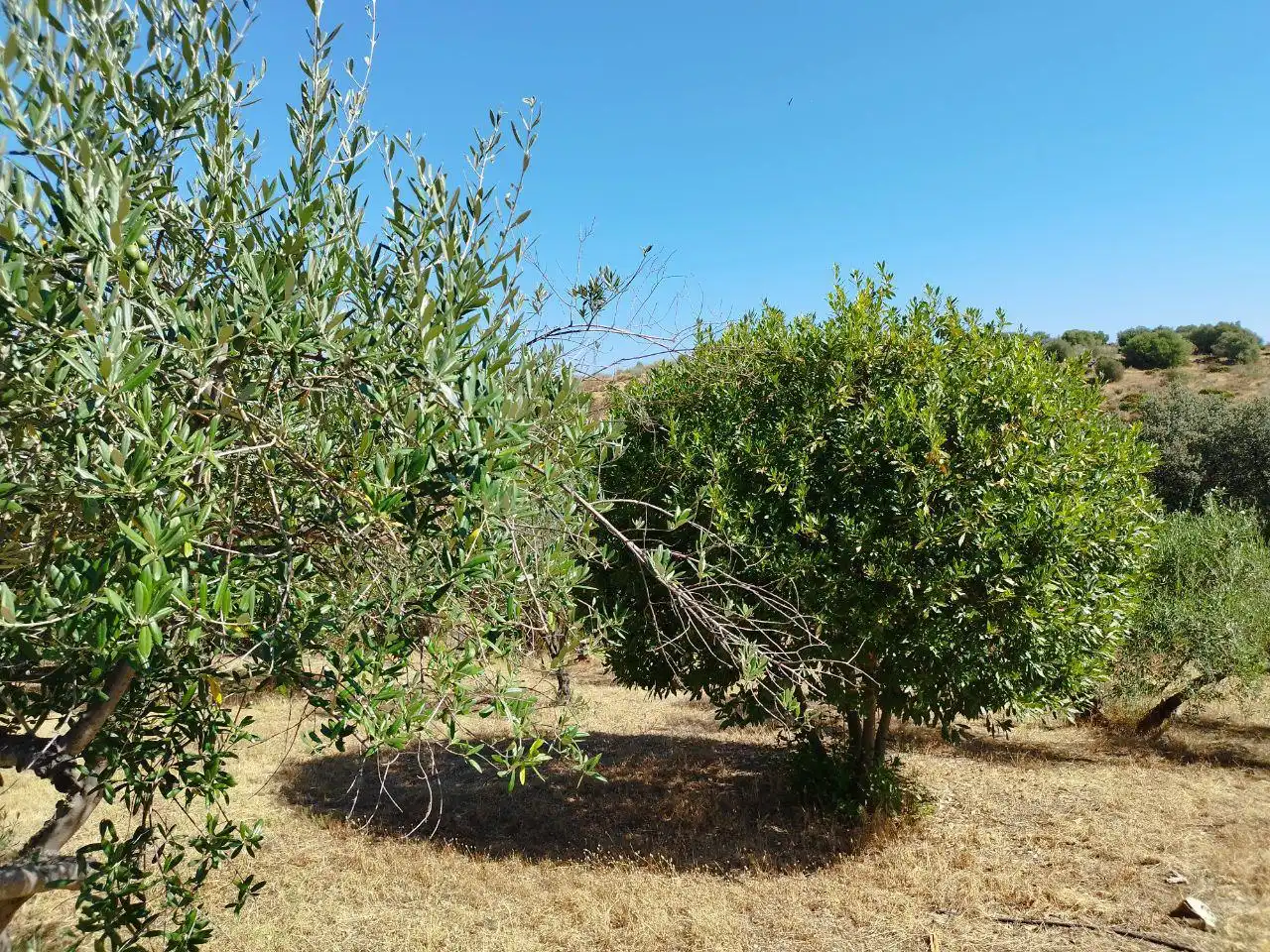 Detached house with garden for sale in El Castillo de las Guardas, imagen 32