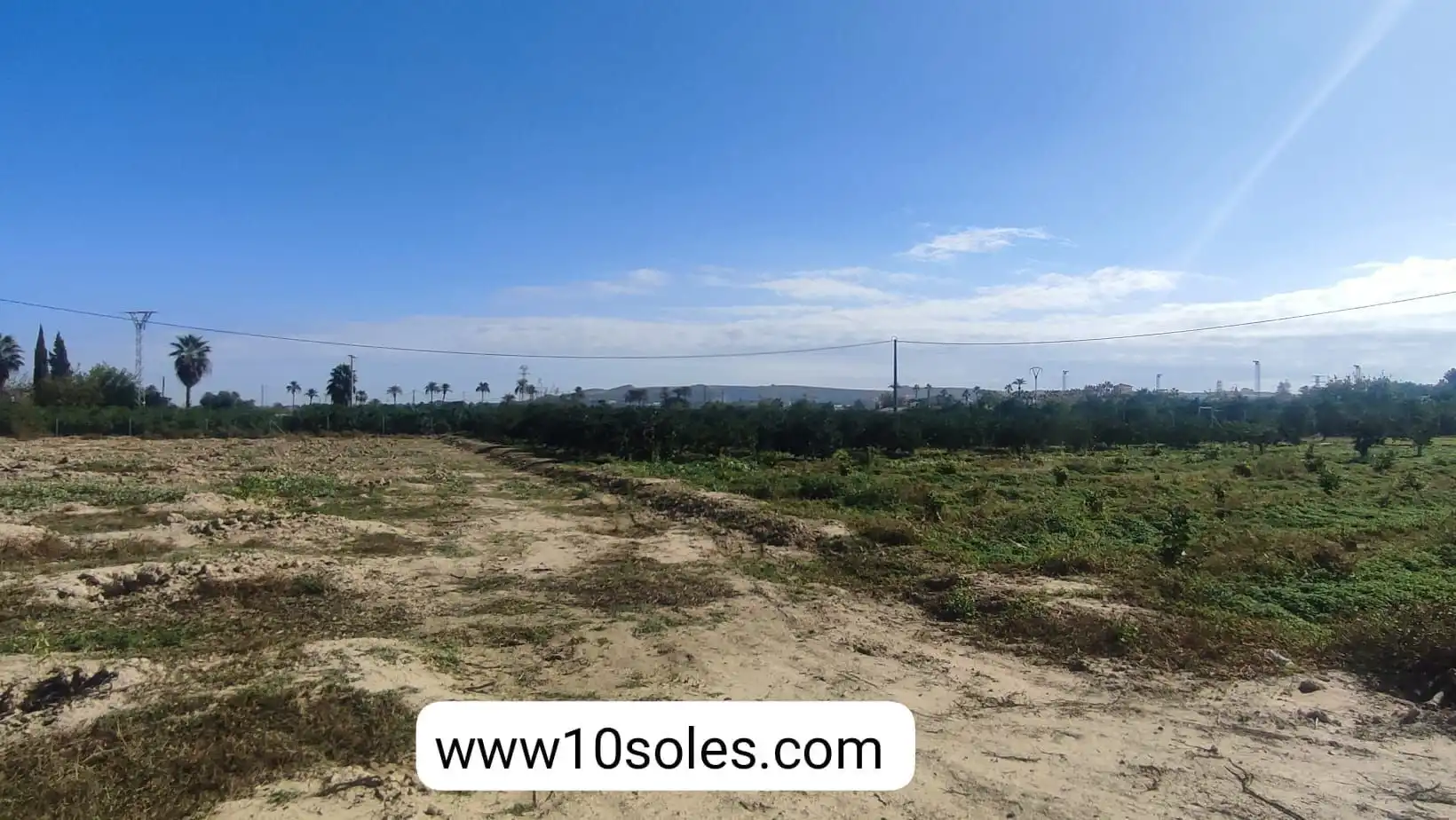 Terreno rustico in vendita a Jacarilla, imagen 4