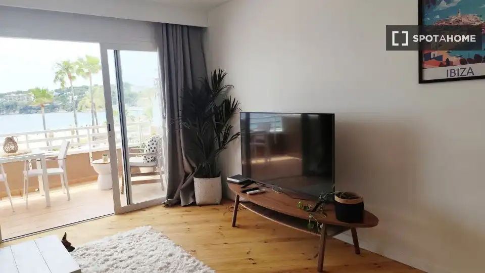 Living room of Apartments for share in Calvià  with Air Conditioner, Terrace and Furnished