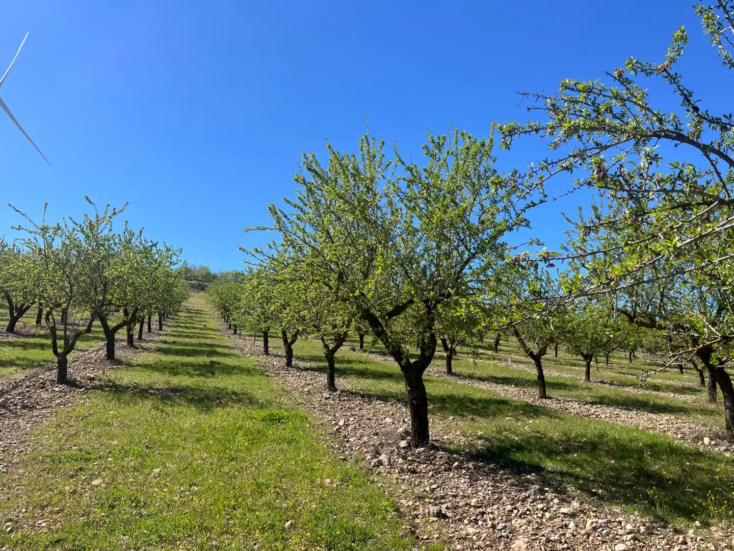 Rustikales Grundstück zum Verkauf in Camino de la Sierra, imagen 11