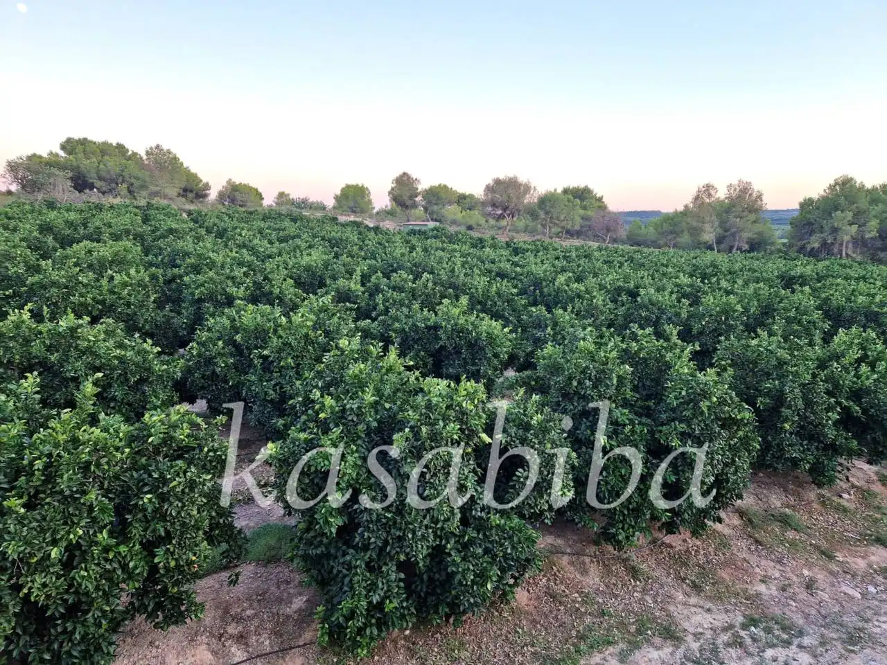 Casa rústica con jardín en venta en Urbanizacion LA PARIDERA, POLIGONO, imagen 29