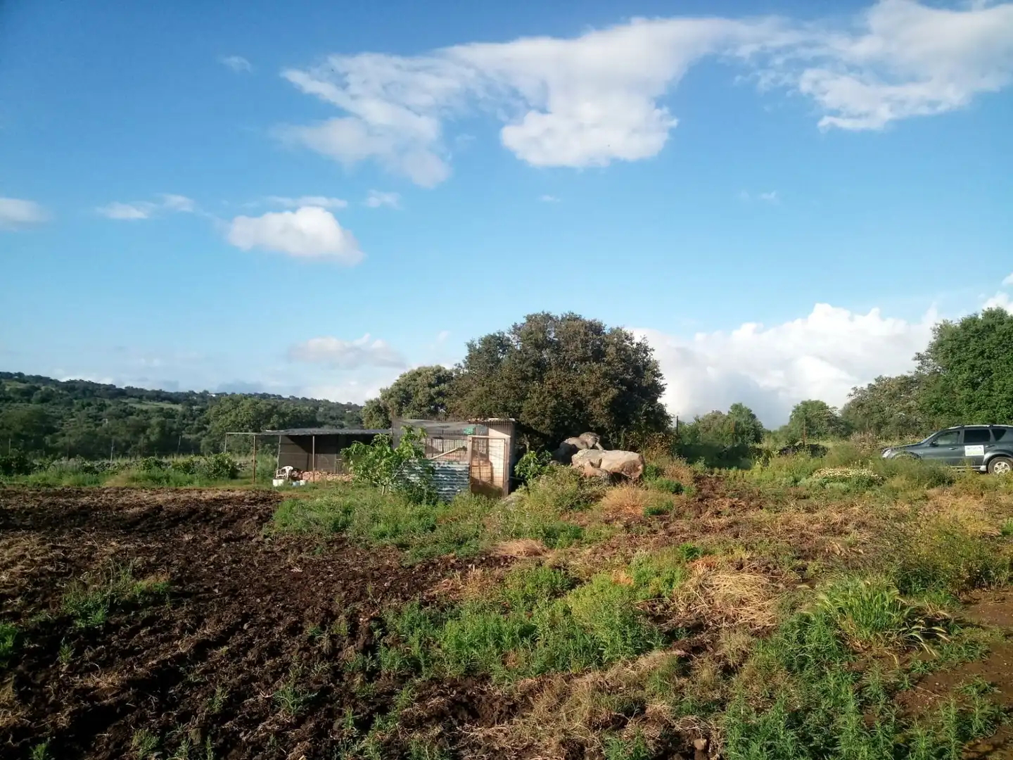 Terreni e lotti in vendita a Castilblanco de los Arroyos, imagen 11
