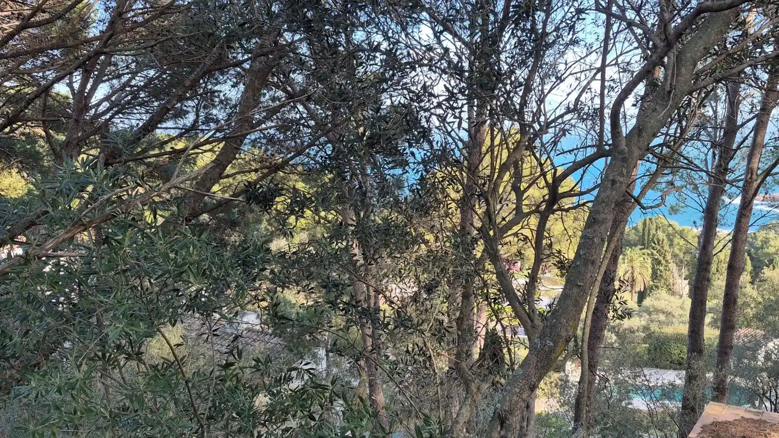 Residencial en venda en Begur