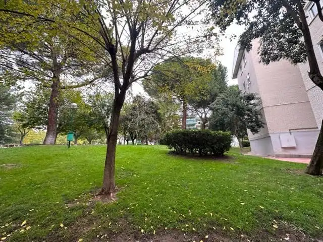 Exterior view of Apartments for sale in Collado Villalba