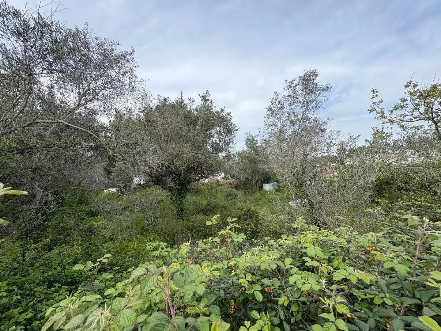 Casa o xalet en venda en Cabrera d'Anoia
