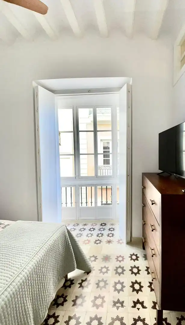 Flat with terrace for sale in Alameda - Mentidero - Teatro Falla, imagen 20