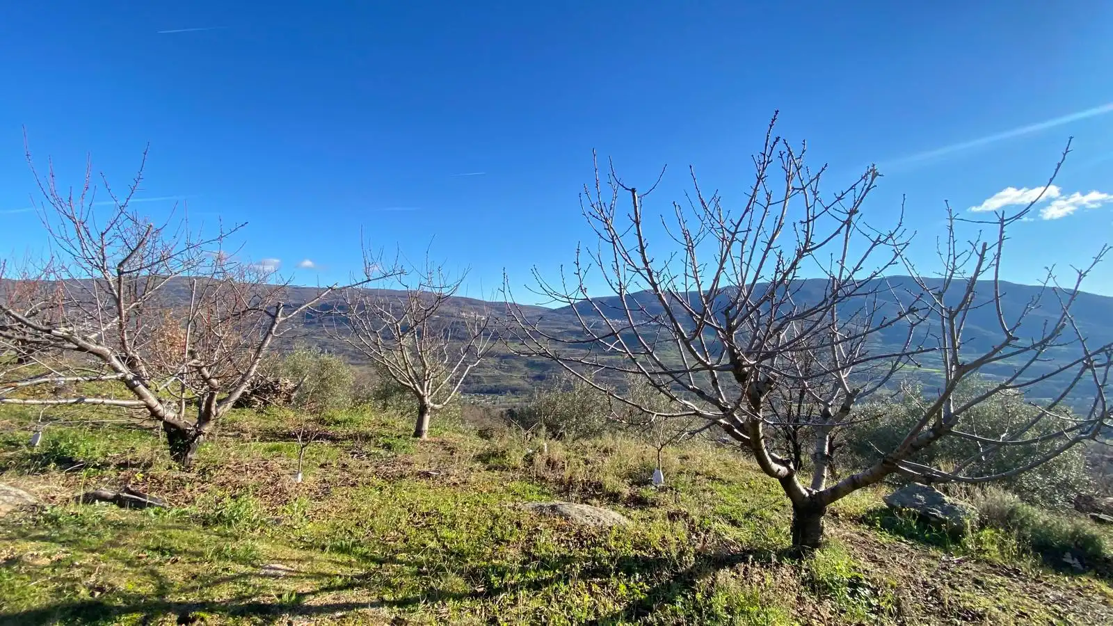 Terreni e lotti in vendita a El Torno