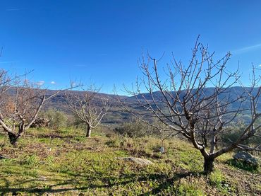 Terreno rustico in vendita a El Torno