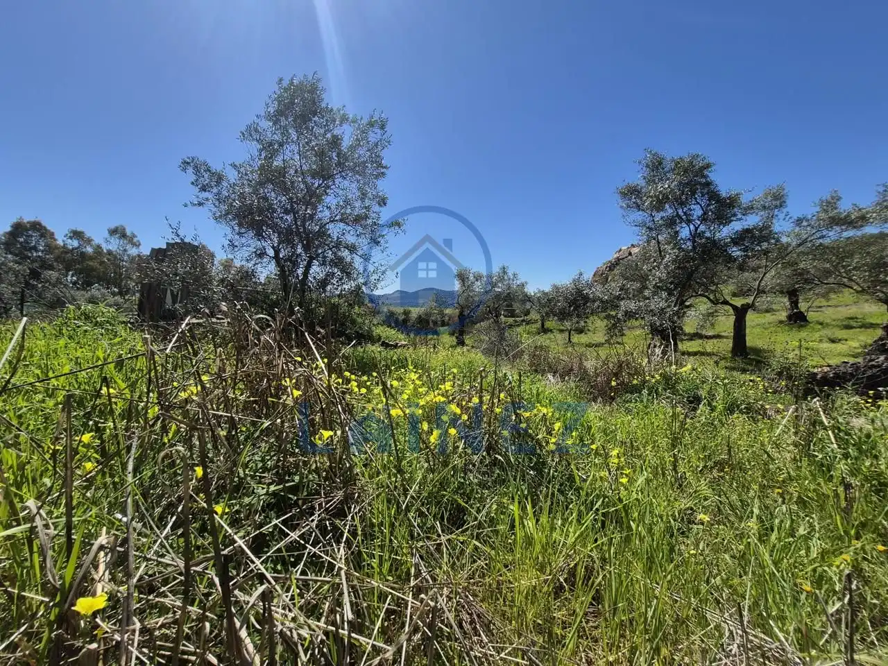 Grundstücke zum Verkauf in Peñarroya-Pueblonuevo