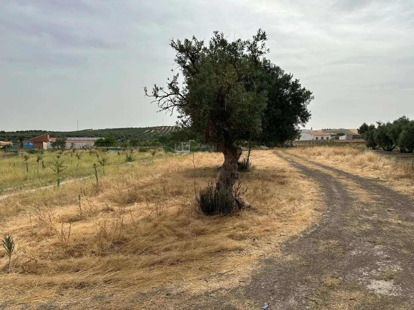 Wohnbaugrundstück zum Verkauf in Chimeneas, imagen 21
