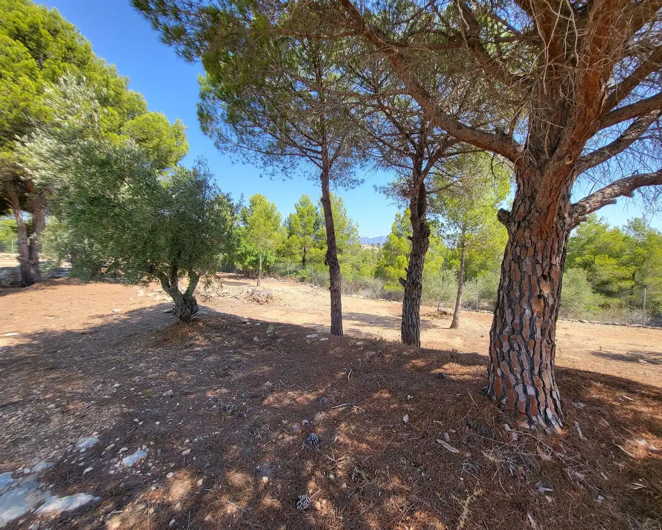 Landhaus mit Garten zum Verkauf in L'Ametlla de Mar pueblo, imagen 39