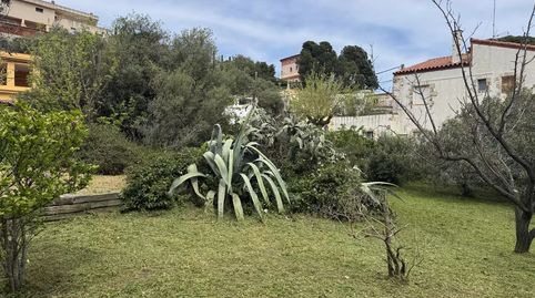 Imatge 4 de l'anunci