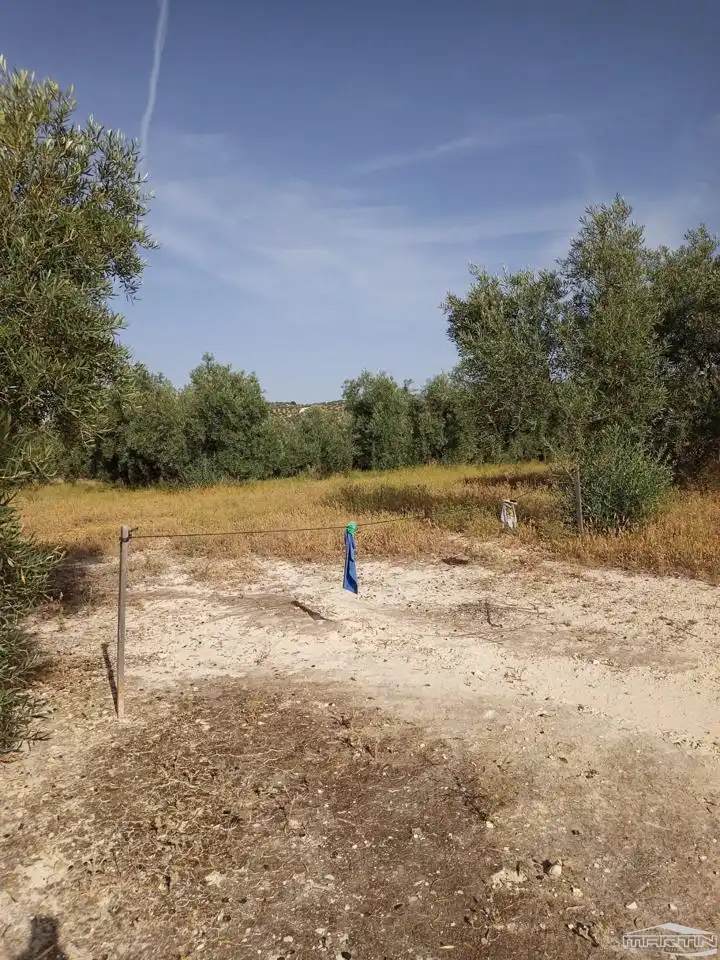 Terrain rustique à vendre à Paraje El Barrancón, Pol.101, Par.183, 66